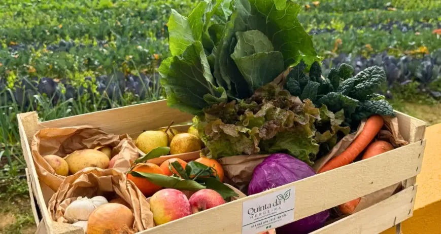 O Cabaz Grande é ideal para famílias que valorizam uma alimentação saudável, variada e cheia de sabor. Com hortícolas biológicos colhidos na nossa Quinta, garante frescura e qualidade em cada refeição.