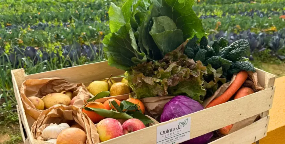 O Cabaz Grande é ideal para famílias que valorizam uma alimentação saudável, variada e cheia de sabor. Com hortícolas biológicos colhidos na nossa Quinta, garante frescura e qualidade em cada refeição.