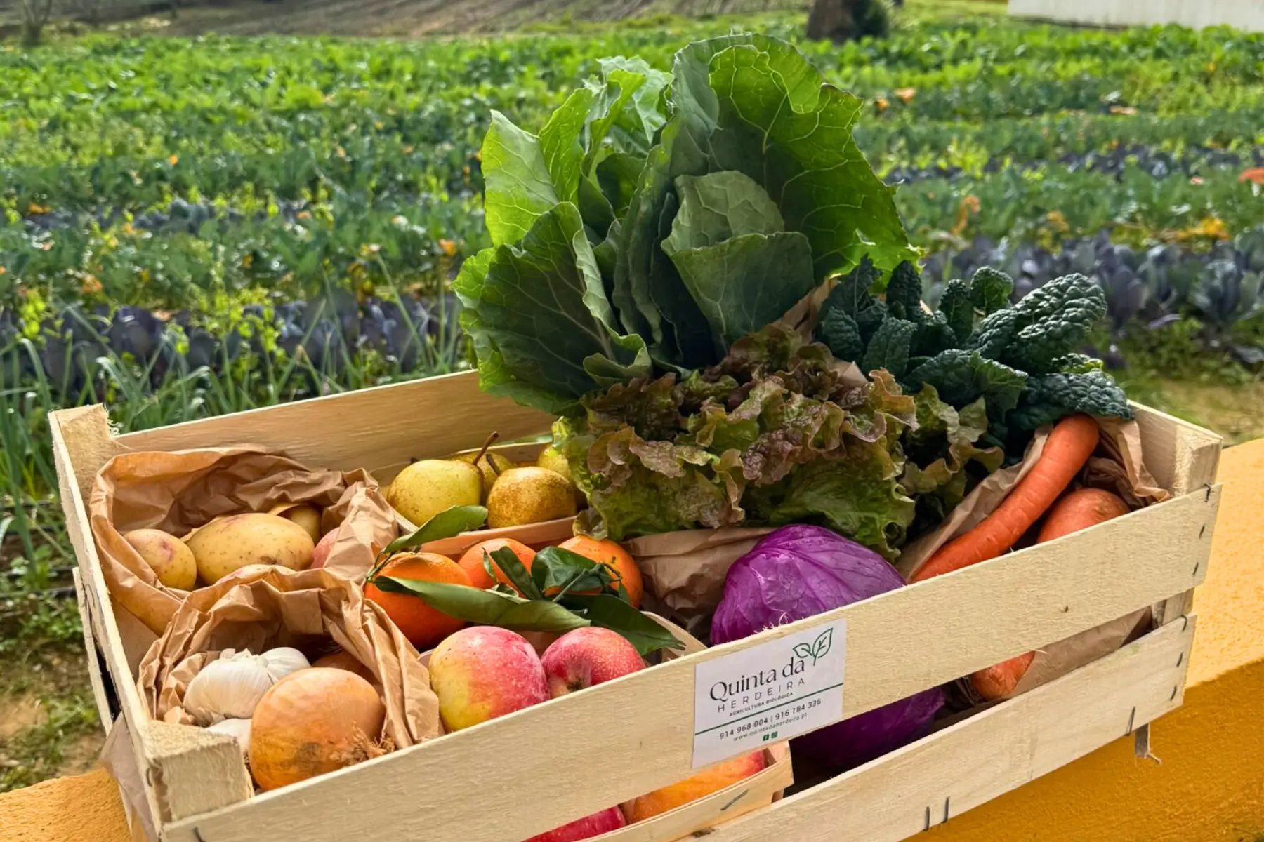 O Cabaz Grande é ideal para famílias que valorizam uma alimentação saudável, variada e cheia de sabor. Com hortícolas biológicos colhidos na nossa Quinta, garante frescura e qualidade em cada refeição.