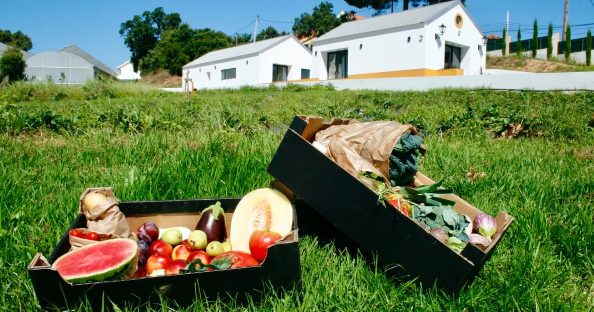 Quinta da Herdeira