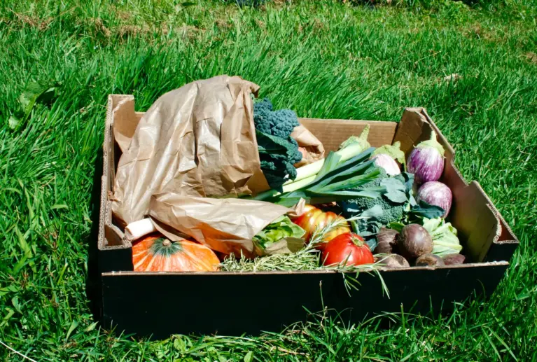Mais do que produtos biológicos, o Cabaz Médio leva até si o cuidado de um projeto familiar que cultiva em harmonia com a natureza, para que a sua mesa esteja sempre cheia de frescura e sabor.