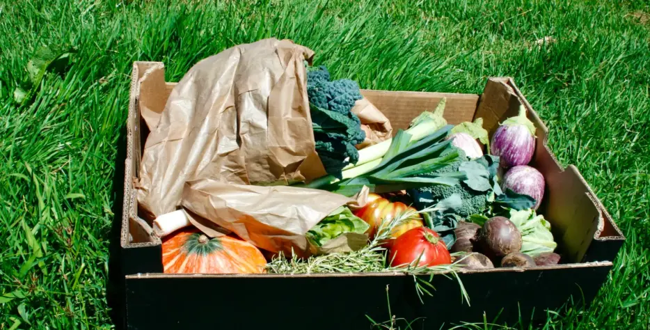 Mais do que produtos biológicos, o Cabaz Médio leva até si o cuidado de um projeto familiar que cultiva em harmonia com a natureza, para que a sua mesa esteja sempre cheia de frescura e sabor.