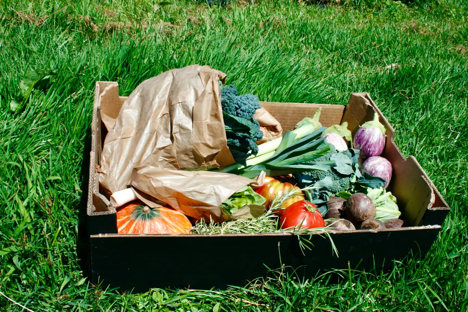 Mais do que produtos biológicos, o Cabaz Médio leva até si o cuidado de um projeto familiar que cultiva em harmonia com a natureza, para que a sua mesa esteja sempre cheia de frescura e sabor.