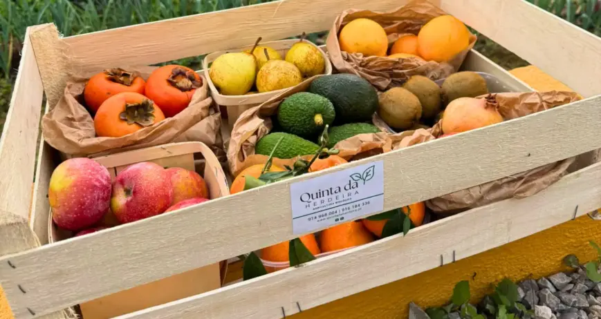 O Cabaz de Frutas da Quinta da Herdeira traz-lhe o melhor da época, sempre fresco, biológico e cheio de sabor. Uma forma prática e saudável de garantir fruta variada em casa, colhida no momento certo.