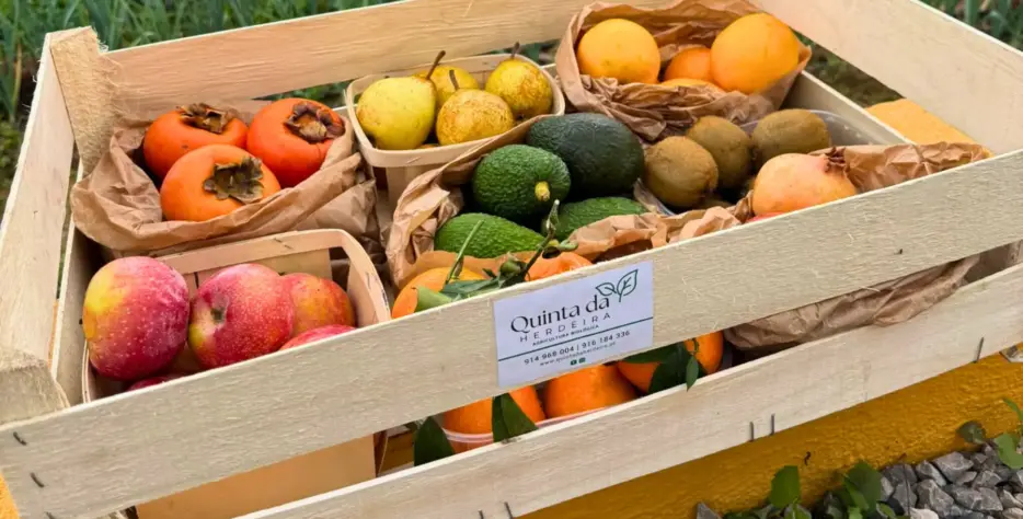 O Cabaz de Frutas da Quinta da Herdeira traz-lhe o melhor da época, sempre fresco, biológico e cheio de sabor. Uma forma prática e saudável de garantir fruta variada em casa, colhida no momento certo.