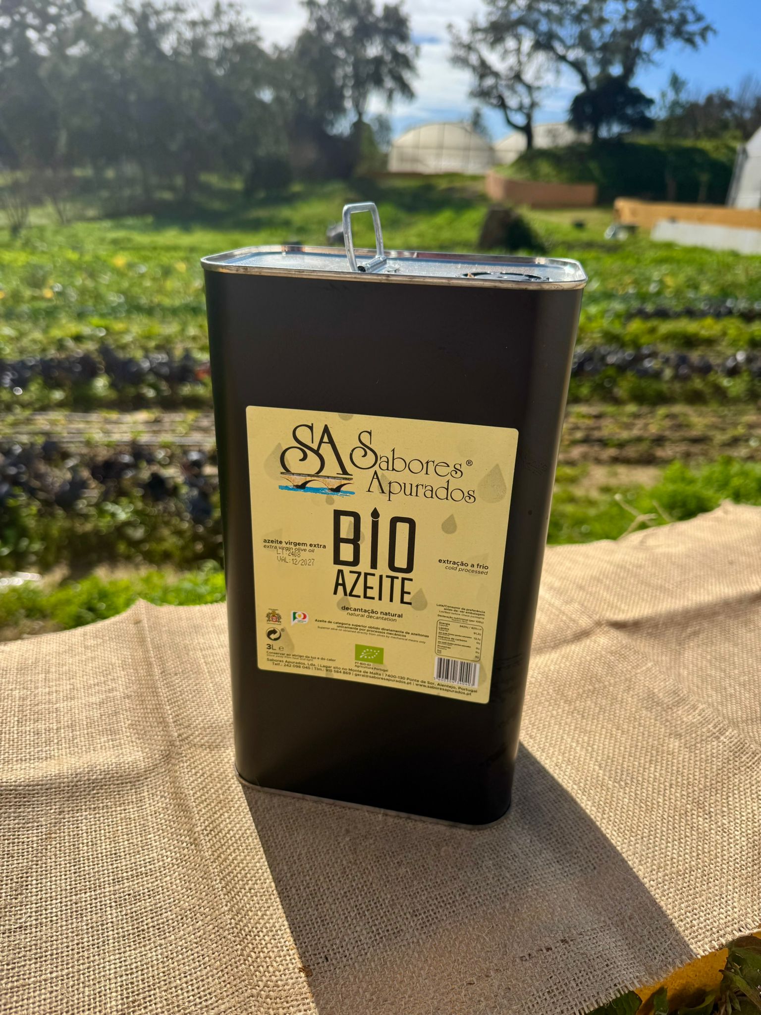 Azeite Garrafão 3L Sabores Apurados