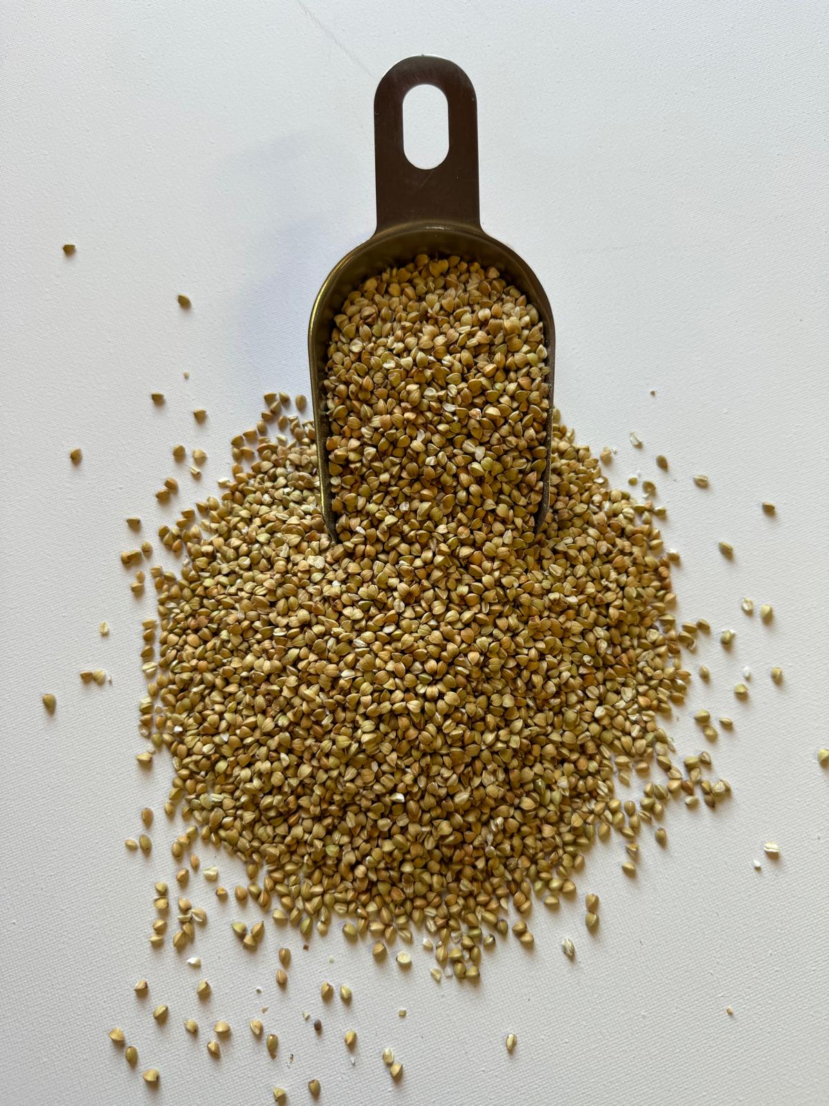 Trigo Serraceno semente