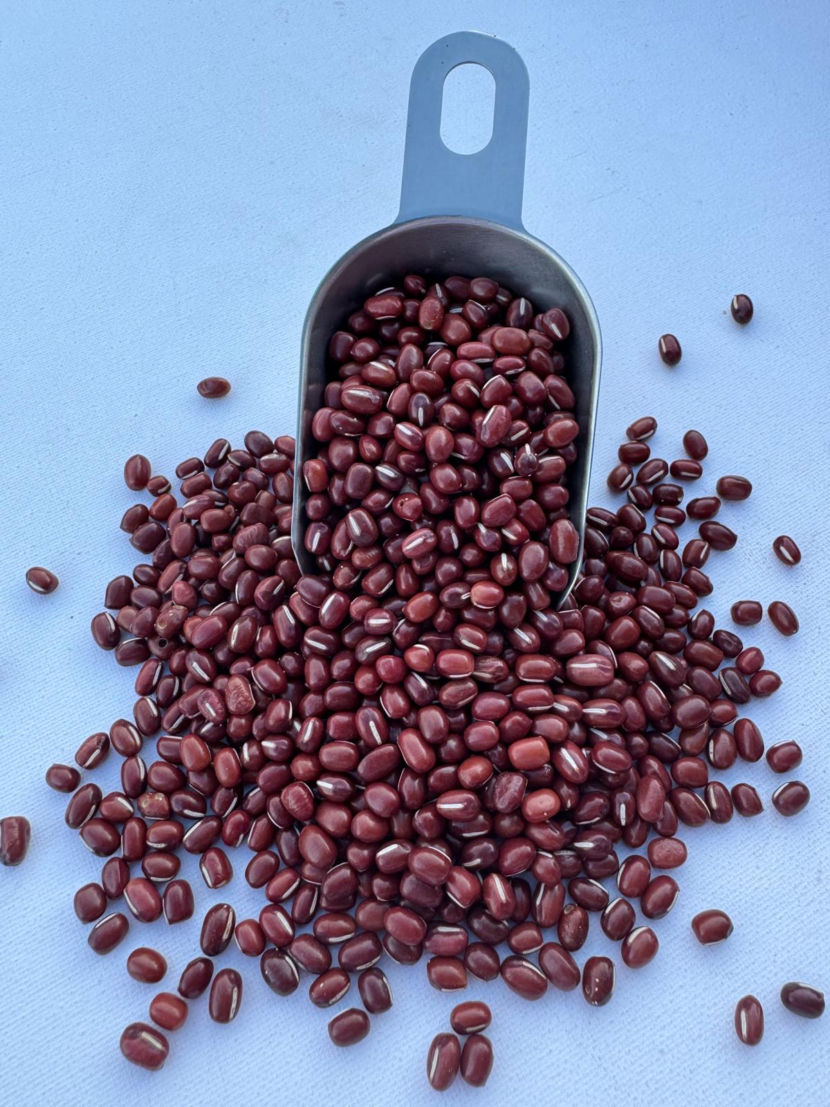 Feijão Azuki