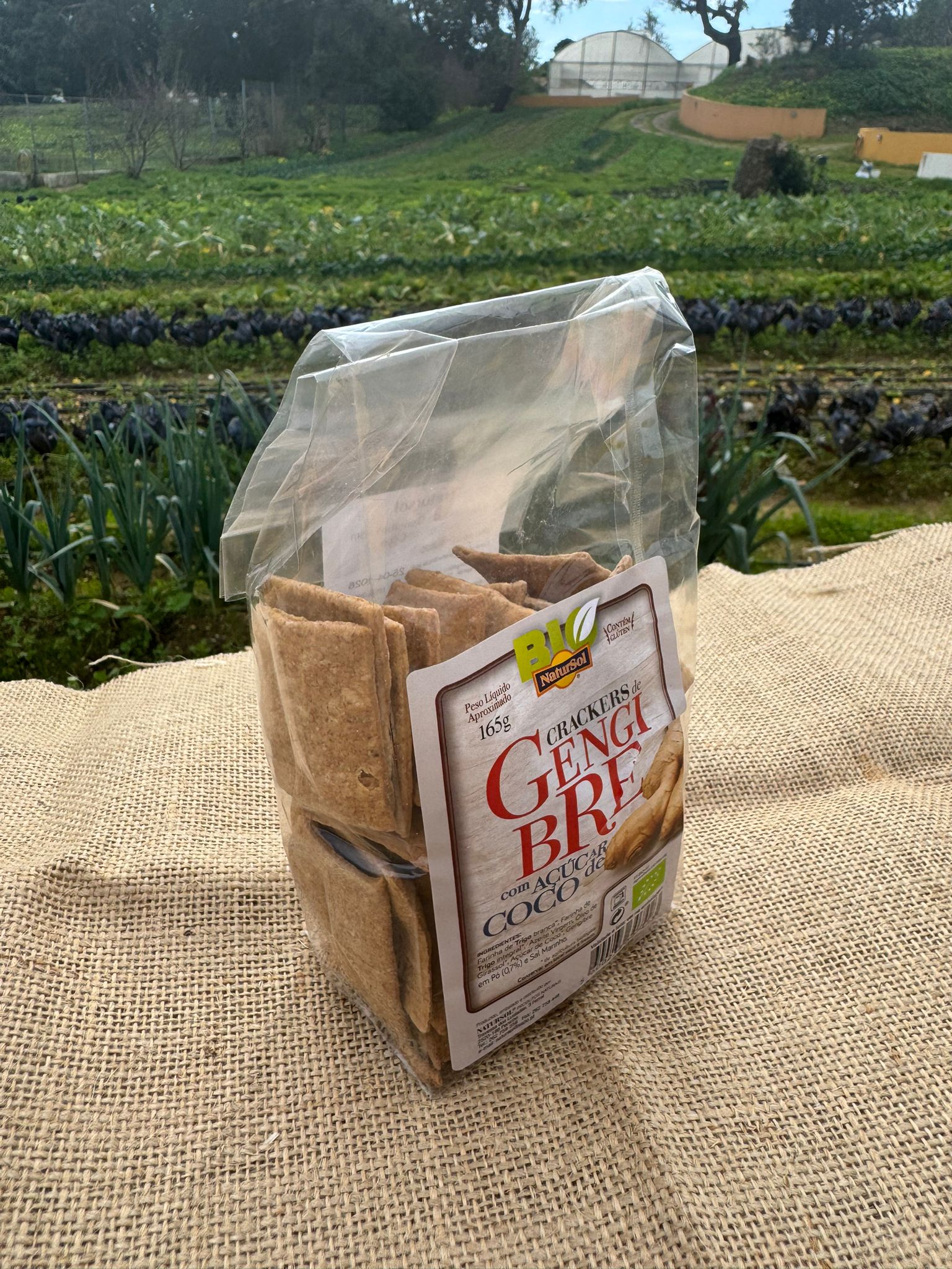 Crackers de Gengibre com Açúcar de coco 165g