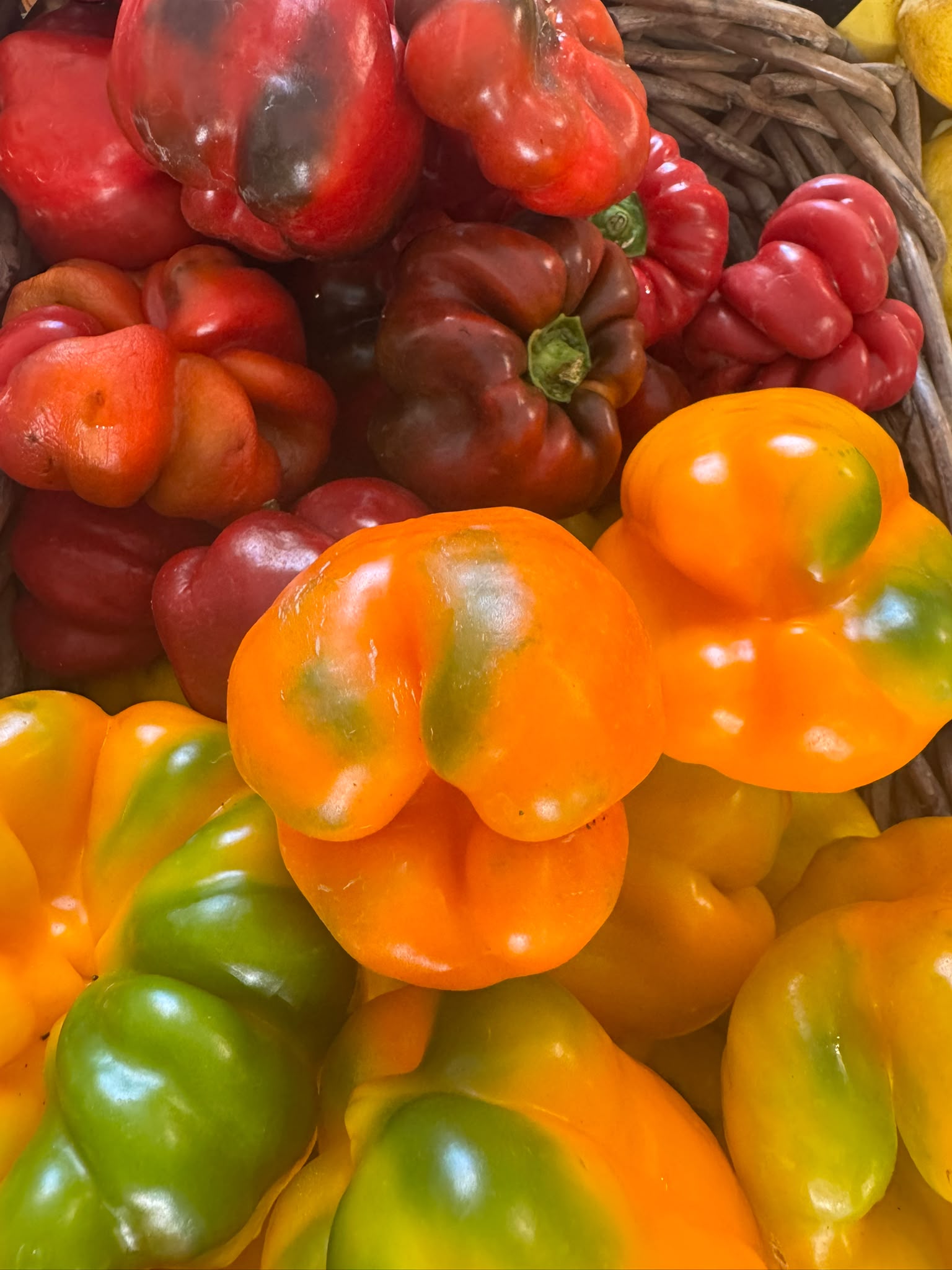 Pimento