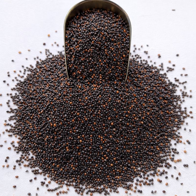 Quinoa Negra