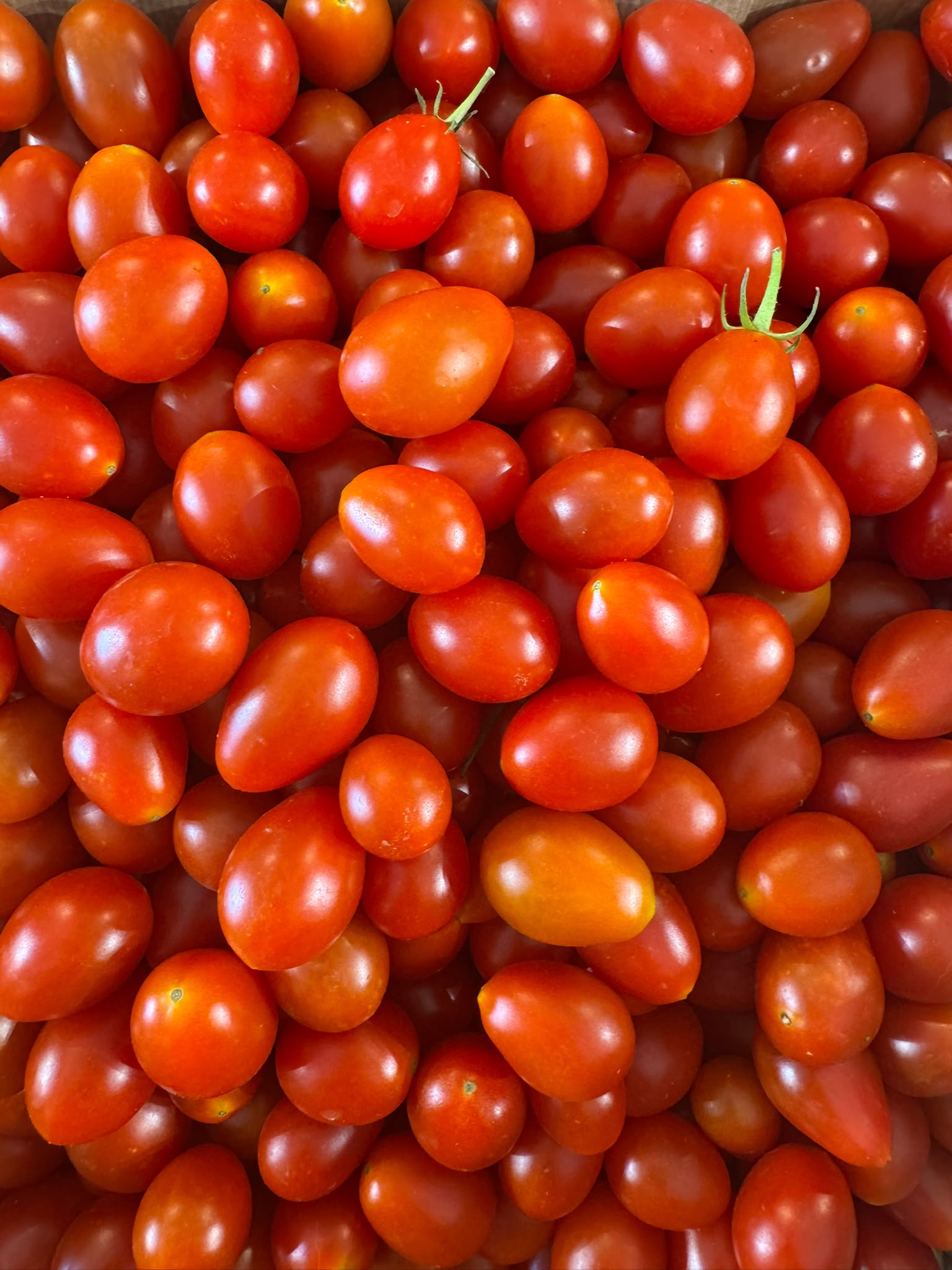 Tomate cherry vermelho