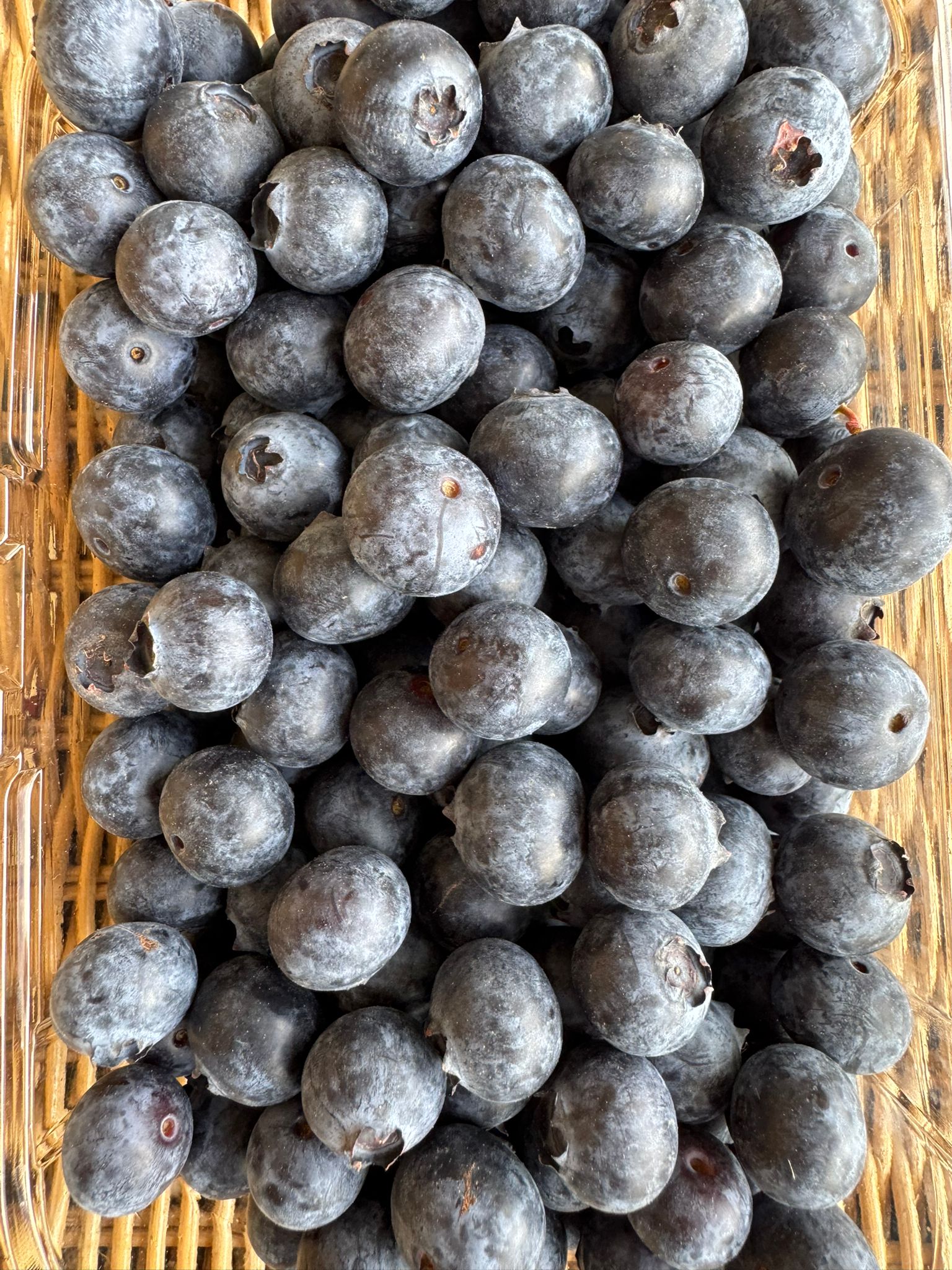 Mirtilo 250g