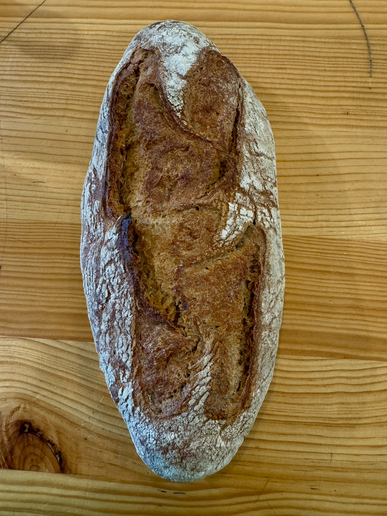 Pão Bio Sarraceno