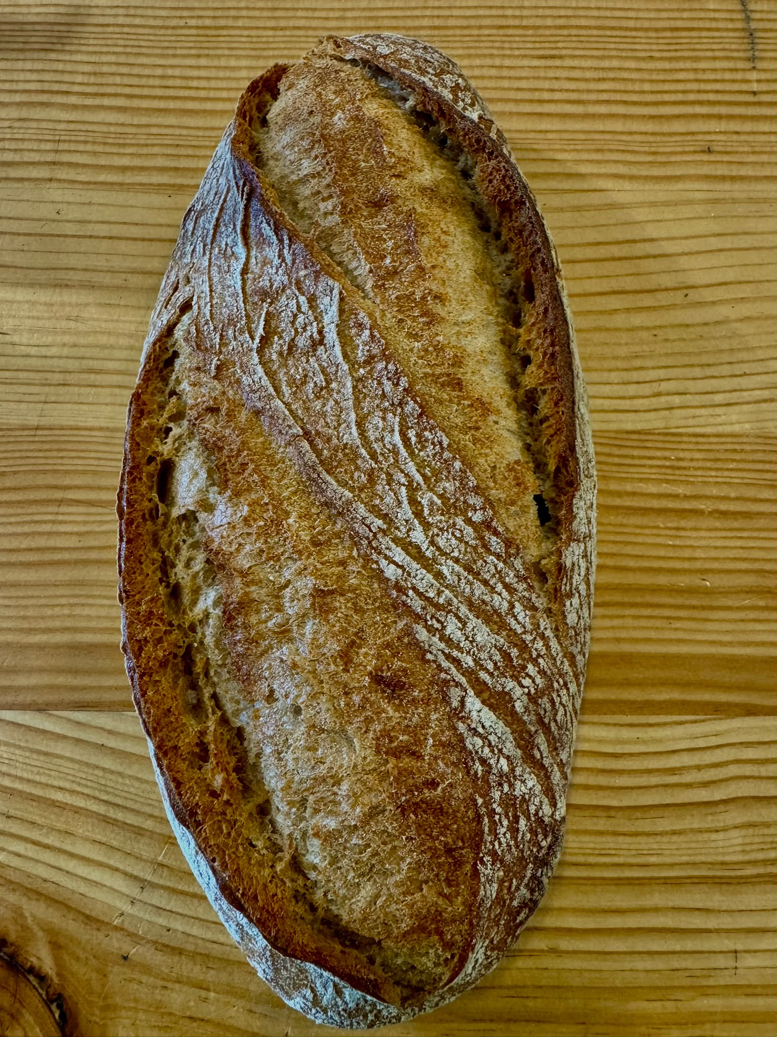Pão Bio Trigo Aldeia
